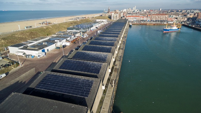 Zonnepanelen op de daken van visafslag 'om de hoek' in Scheveningen